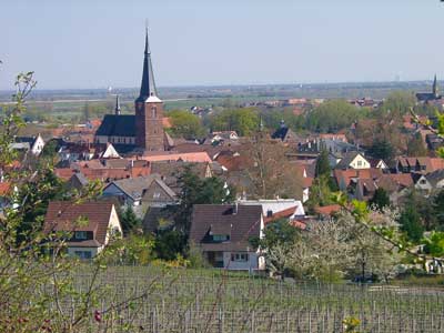   Deidesheim