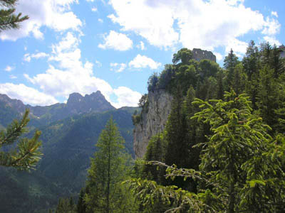   Ruine Falkenstein