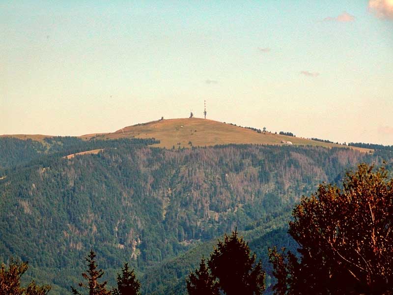   Feldberg