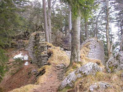   Burg Hohenwaldeck