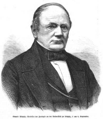 Pöppig Eduard 