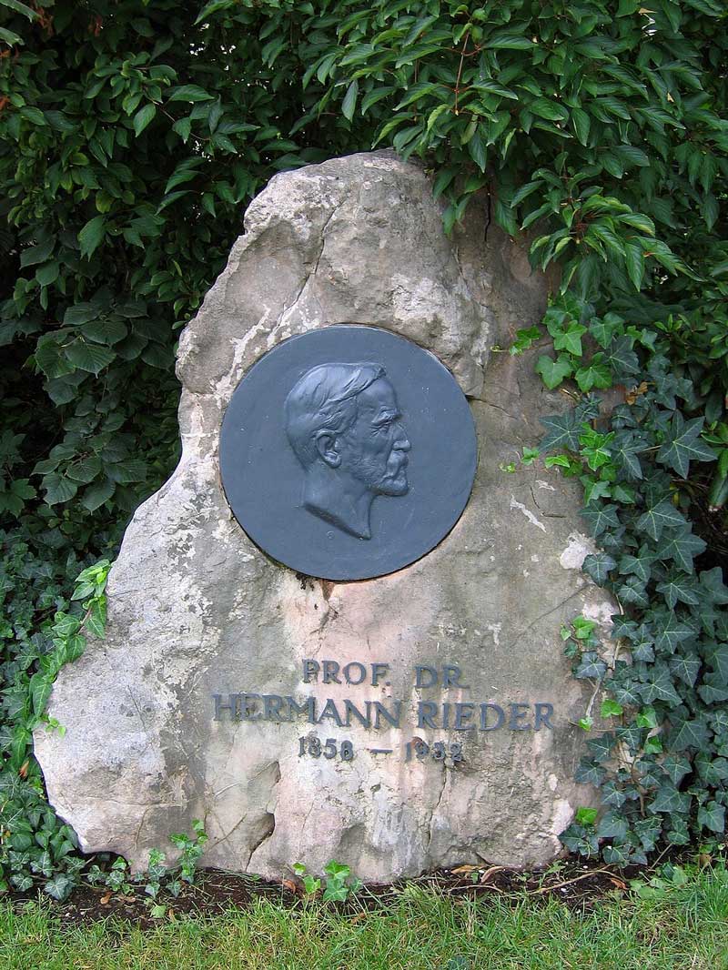 Rieder Hermann