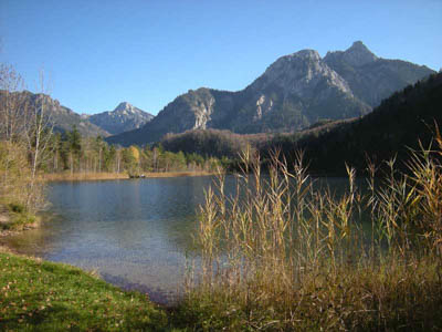   Schwansee