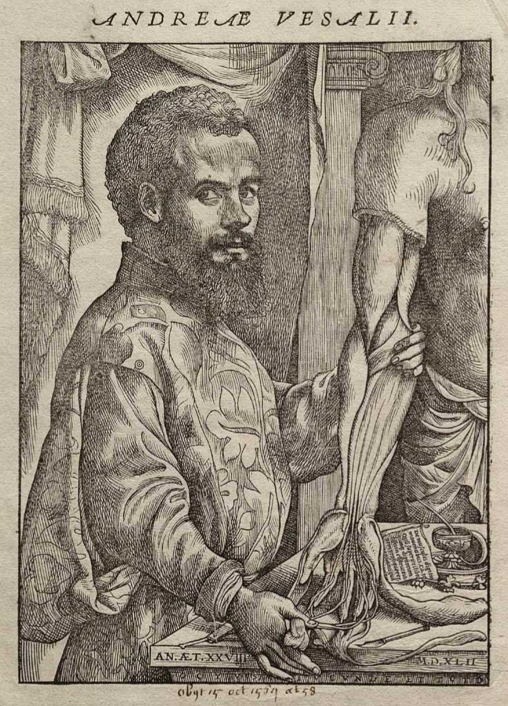 Vesalius Andreas 