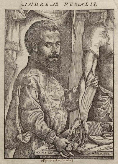 Vesalius Andreas 